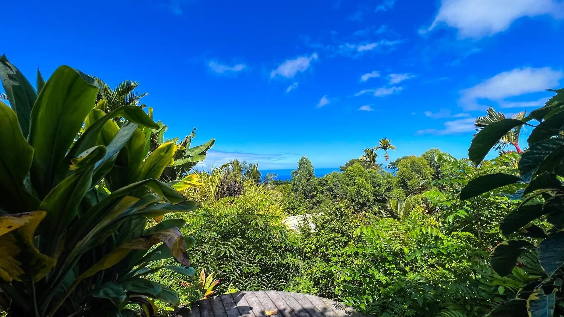 Gingerhill Farm Retreat Apartment Kealakekua United States