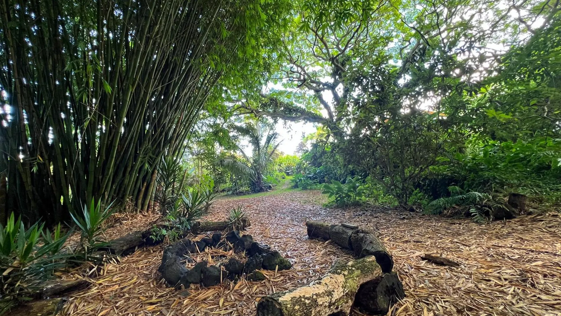 Gingerhill Farm Retreat Apartment Kealakekua