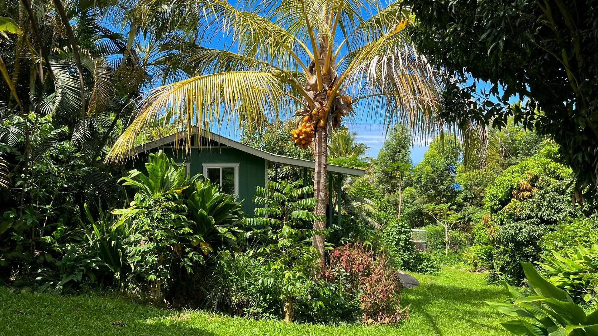 Gingerhill Farm Retreat Apartment Kealakekua United States