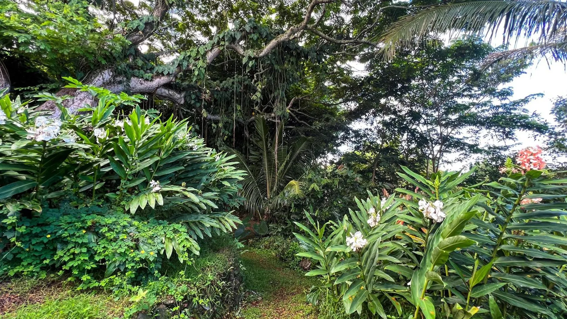 Gingerhill Farm Retreat Apartment Kealakekua