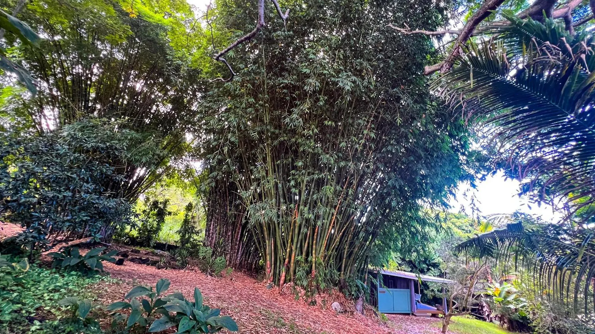 Gingerhill Farm Retreat Apartment Kealakekua 0*,