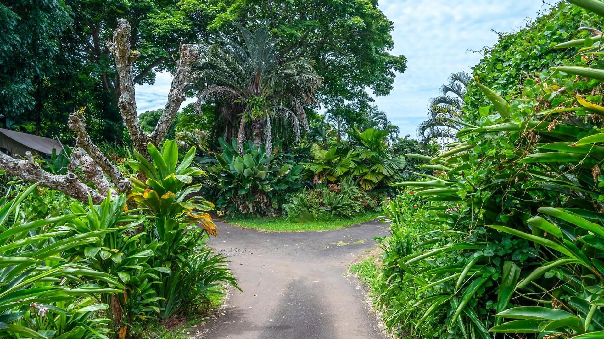 Gingerhill Farm Retreat Apartment Kealakekua