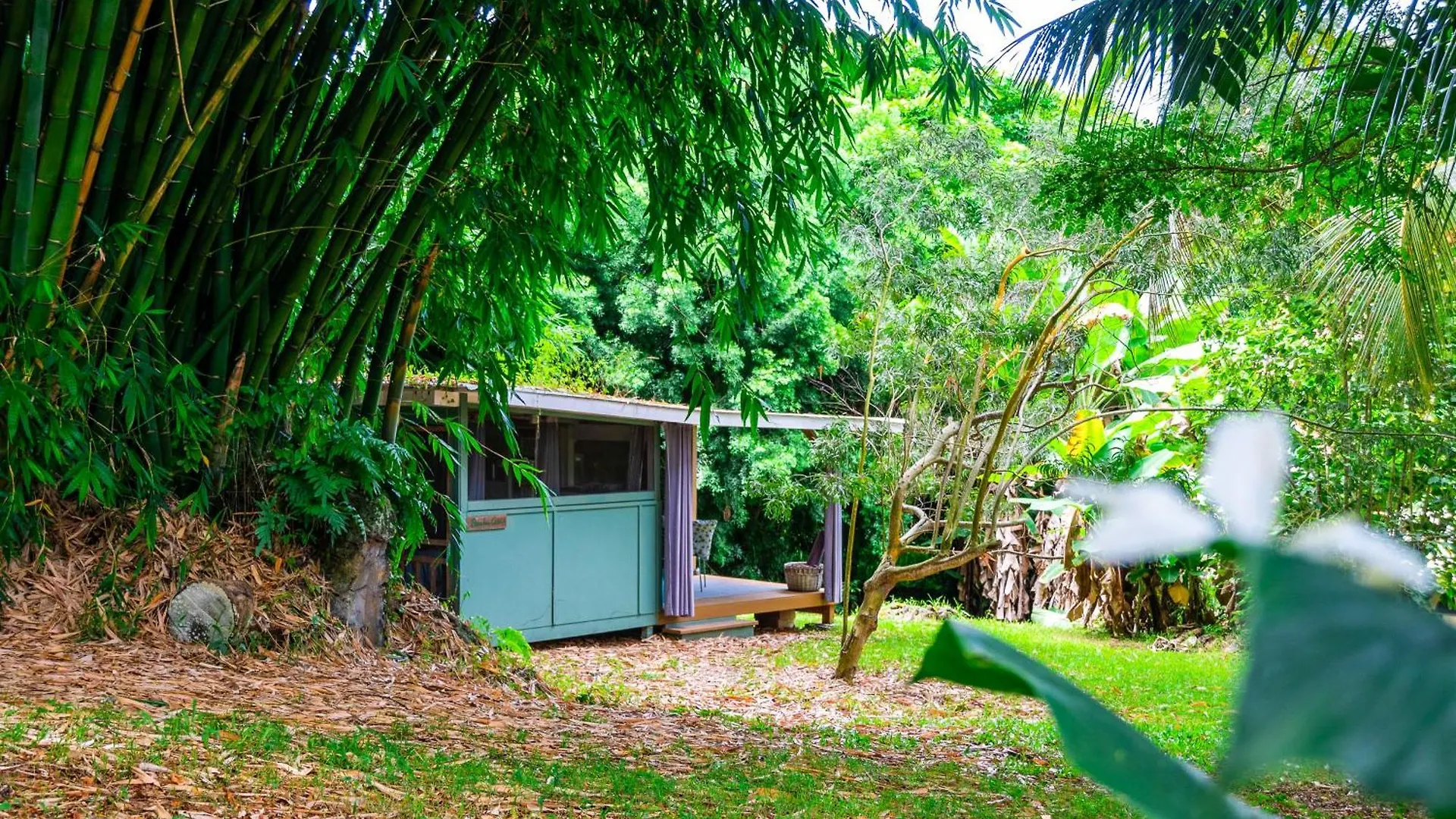 Gingerhill Farm Retreat Apartment Kealakekua